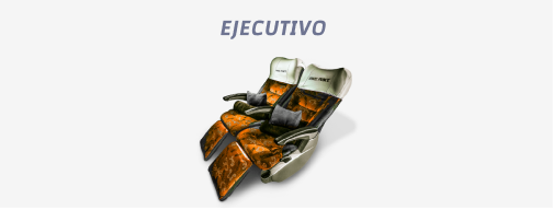 viajes en bus ejecutivo